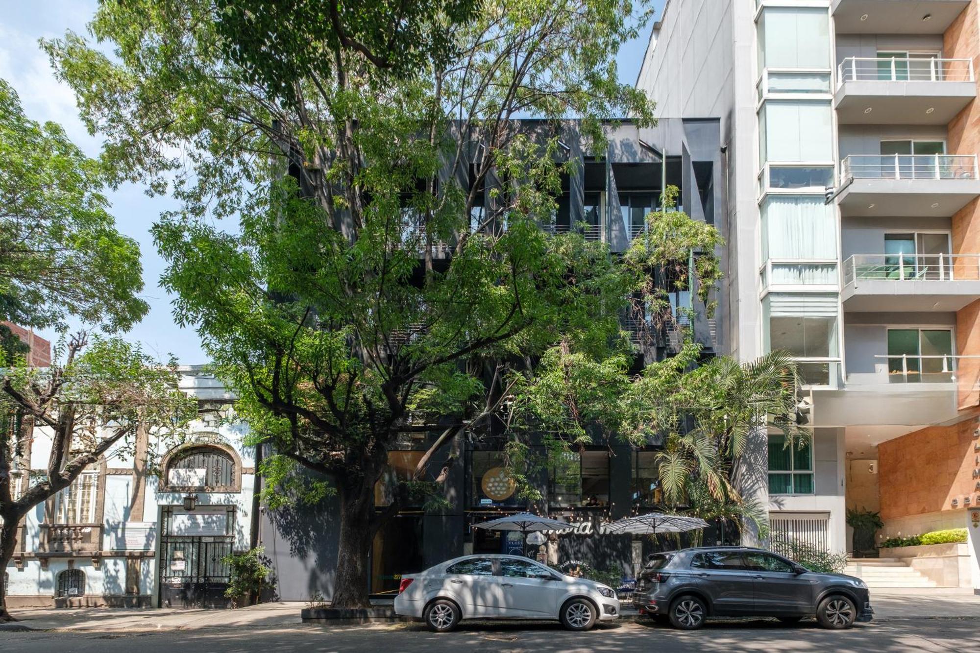 Boga Mexico City By Lumina المظهر الخارجي الصورة